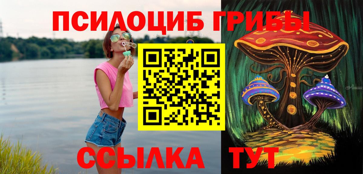 Галлюциногенные грибы GOLDEN TEACHER Городец